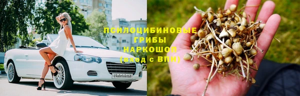 мяу мяу мука Алзамай