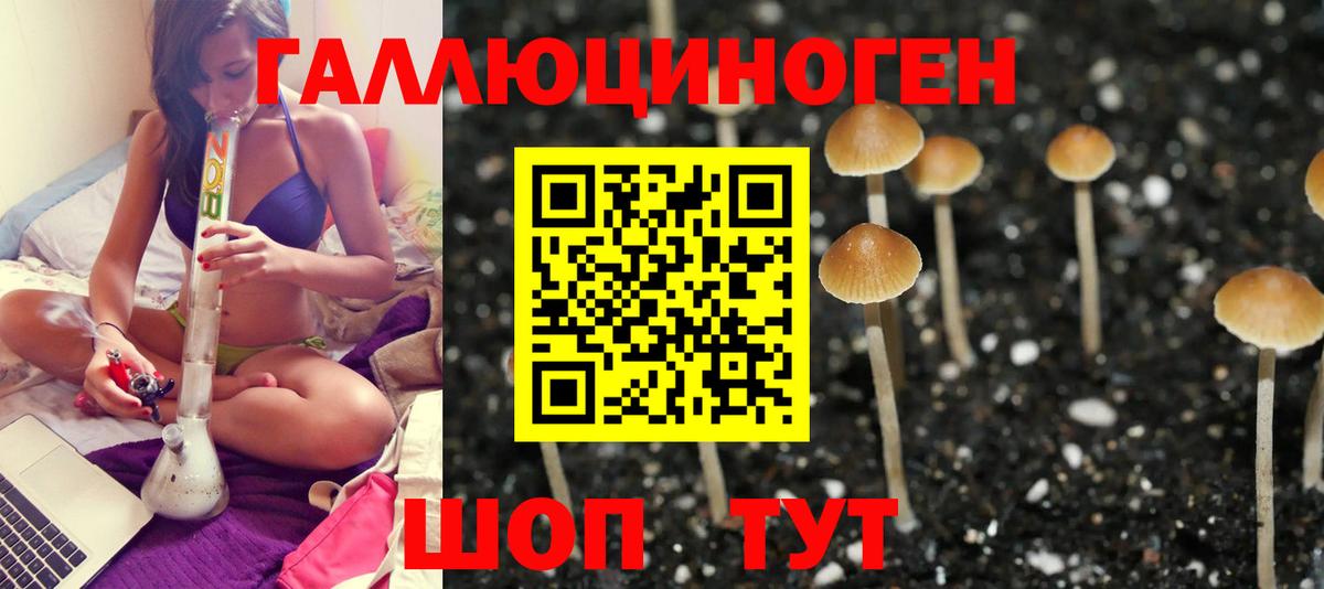 Псилоцибиновые грибы Cubensis Набережные Челны