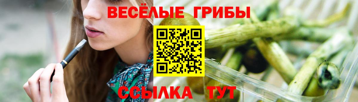 Набережные Челны  Галлюциногенные грибы ЛСД  Вход с VPN 