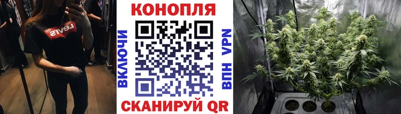 МАРИХУАНА сатива Набережные Челны